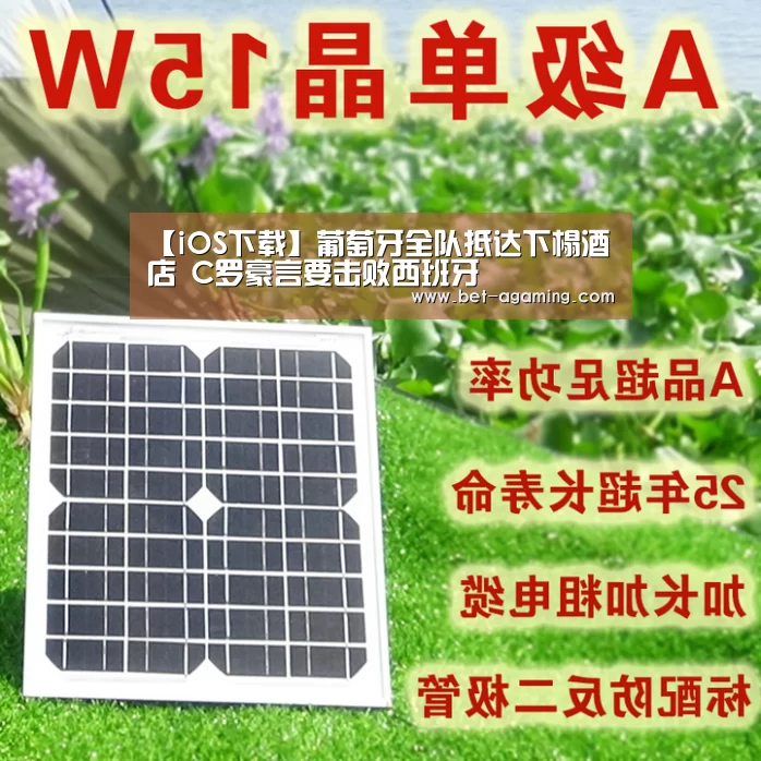 【iOS下载】葡萄牙全队抵达下榻酒店 C罗豪言要击败西班牙(图2) AG亚游官方下载