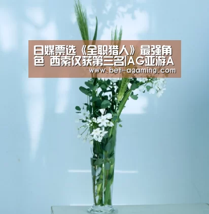 日媒票选《全职猎人》最强角色 西索仅获第三名|AG亚游APP下载(图1) AG亚游APP下载
