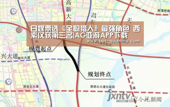 日媒票选《全职猎人》最强角色 西索仅获第三名|AG亚游APP下载(图4) AG亚游官方下载